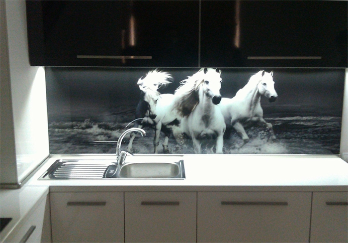 glasrückwand schwarz weiß küche pferde natur