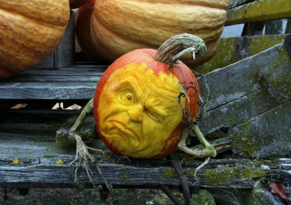 kreatives Projekt Kürbis Gesicht des Künstlers Ray Villafane Halloween Kürbis Schnitzvorlagen 