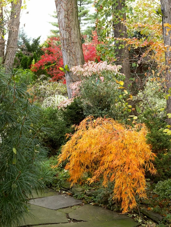 warme Farben im Garten bewundern und frische Luft einatmen Gartengestaltung Ideen im Herbst 