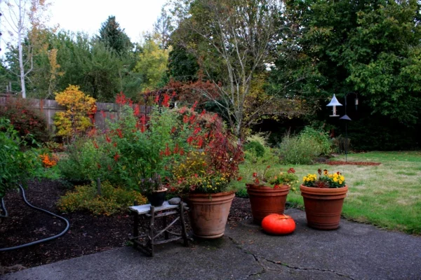 Gartengestaltung Ideen für den Herbst typisches Bild farbenfrohe Topfpflanzen Sträucher im Blumenbeet gepflegter Rasen 