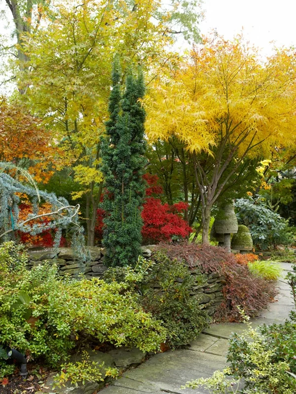 schönes Bild vom farbenfrohen Herbstgarten viel Grün blätter in warmen Farben 