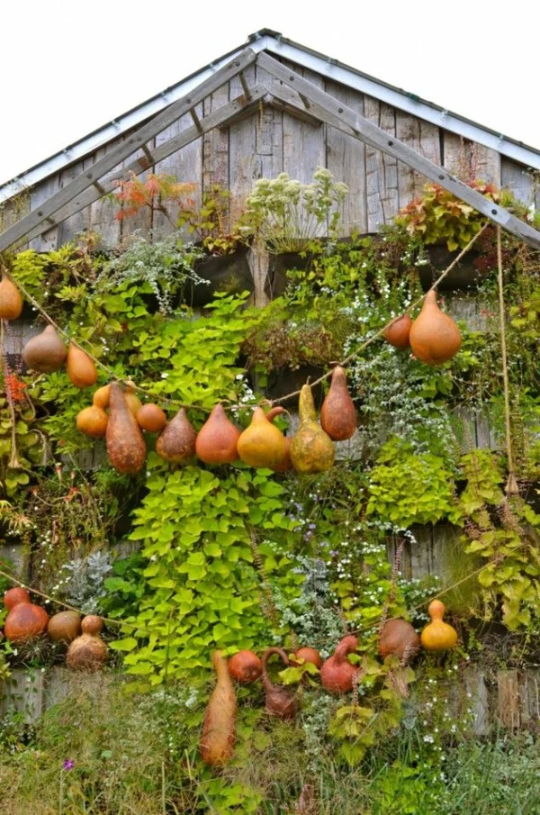 Kürbisse im Herbstsammeln und aufbewahren als Gartendeko Gartengestaltung Ideen für den Herbst 