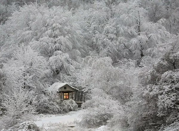 kleine Holz häuser natur weiß winter