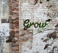 Moos Graffiti erstellen und eine „grüne“ Botschaft ausrichten