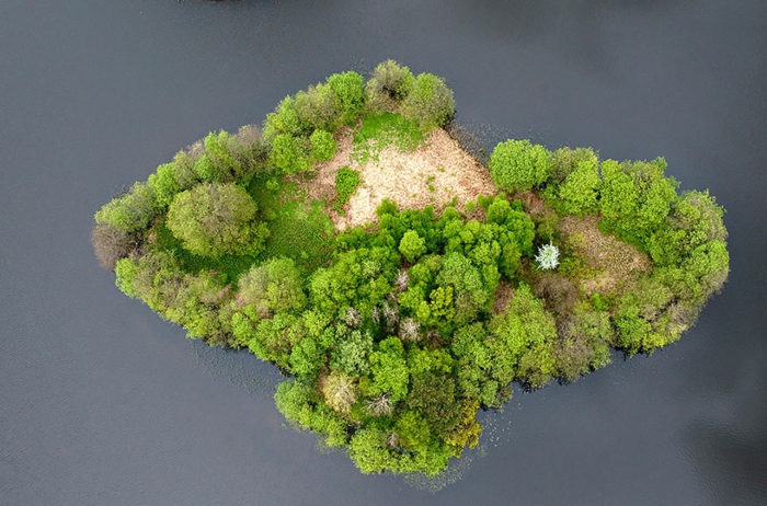  schöne naturbilder landschaftsbilder grüne bäume lake island polen