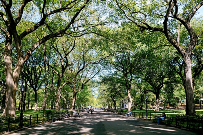 schöne landschaftsbilder frühling central park new york