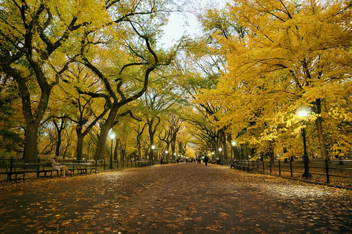 schöne landschaftsbilder saisonende herbst central park new york