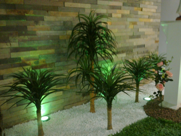 zimmerpflanzen bilder zimmerpalmen palmenarten zummergrünpalmen