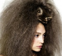 Schöne Haarschnitte – lustige Frisuren Fotos
