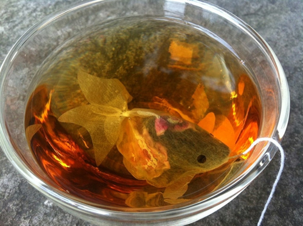 Teeeier wasser goldfisch teebeutel färben ideen