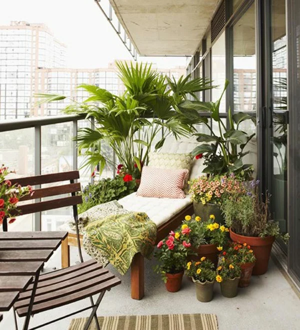 balkon pflanzen palme liege