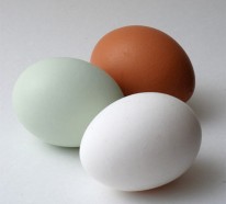 Wandfarbe eierschalenfarben – neutrale, zarte Farben für Ihre Wandgestaltung