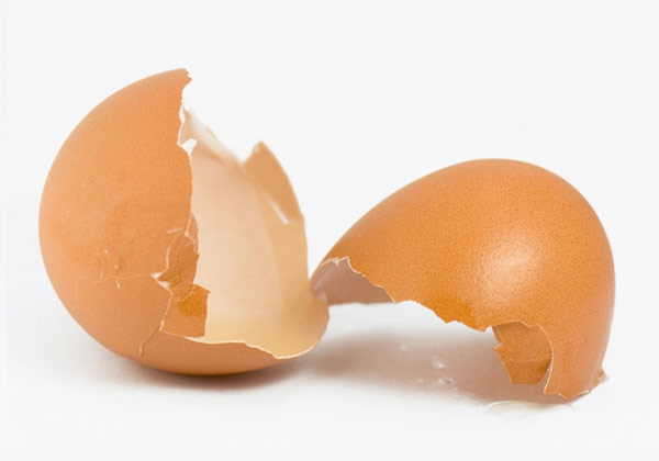eierschalenfarben in zwei gebrochene Eierschale Inspiration für neutrale Farbpalette