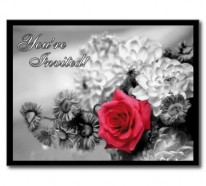 Einladungskarten für Hochzeit und Geburtstag – Einladungskarten mit Blumen