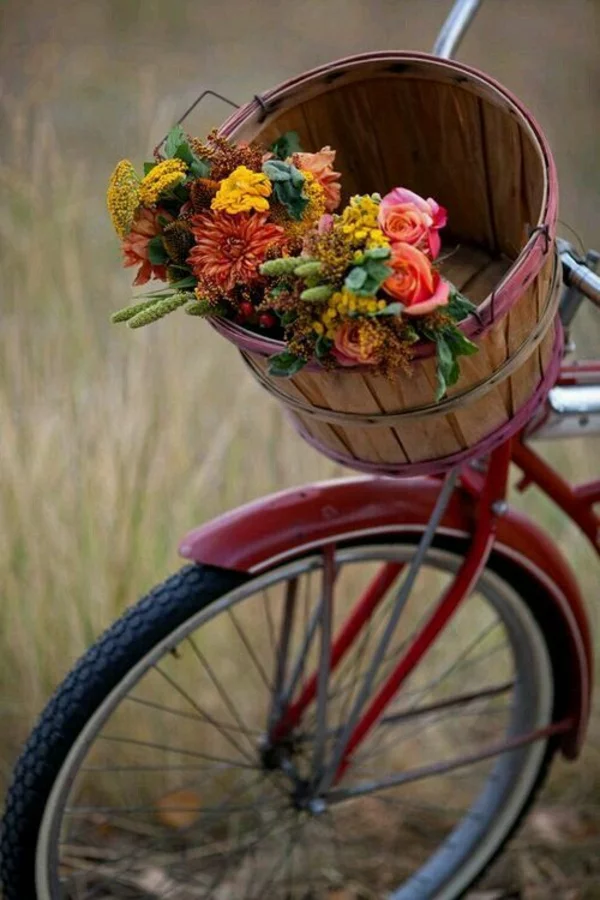 herbstblumen margariten balkon fahrrad blumen bouquet