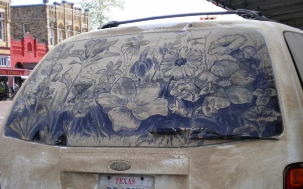 Kunst aus Staub schmutzige autoscheiben blumen