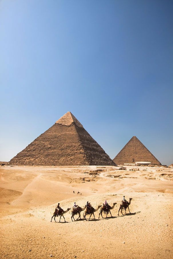 Reise nach Ägypten urlaub kamele