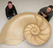 Couchtisch Design – perfekte Nachahmung von Nautilusmuschel