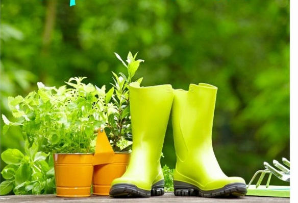 100 Gartengestaltungsideen und Gartentipps für Anfänger