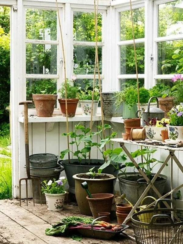 gemüse und wintergarten pflanzen gartenhaus und gartenzubehör