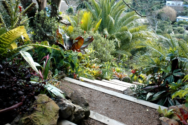 kentia-palme tropische vegetation