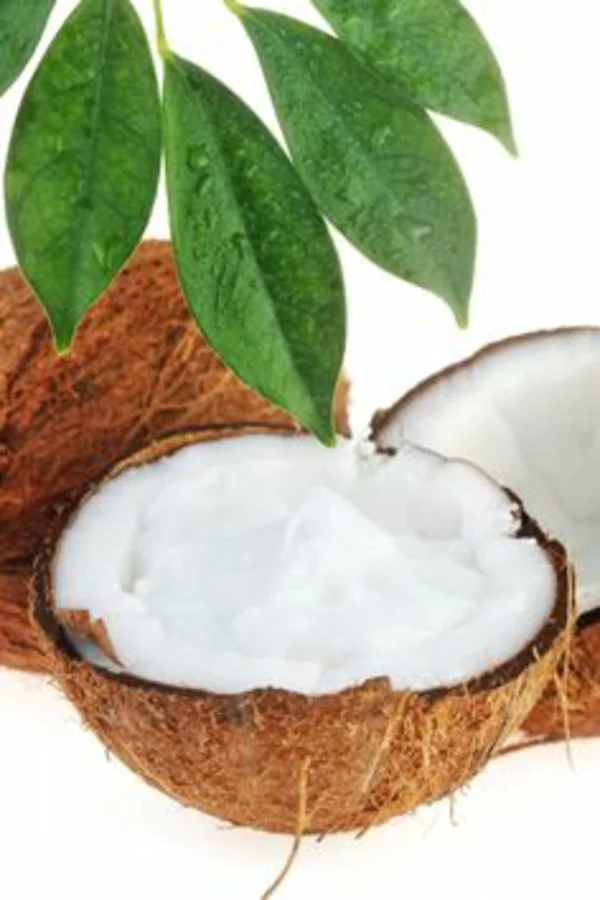 kontrollierte naturkosmetik selber machen kokos