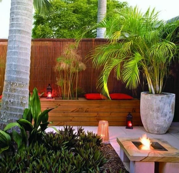 palmenarten goldfruchtpalme palme pflege terrassengestaltung