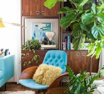 Schöne Zimmerpflanzen Bilder – so können Sie Ihre Wohnung dekorieren