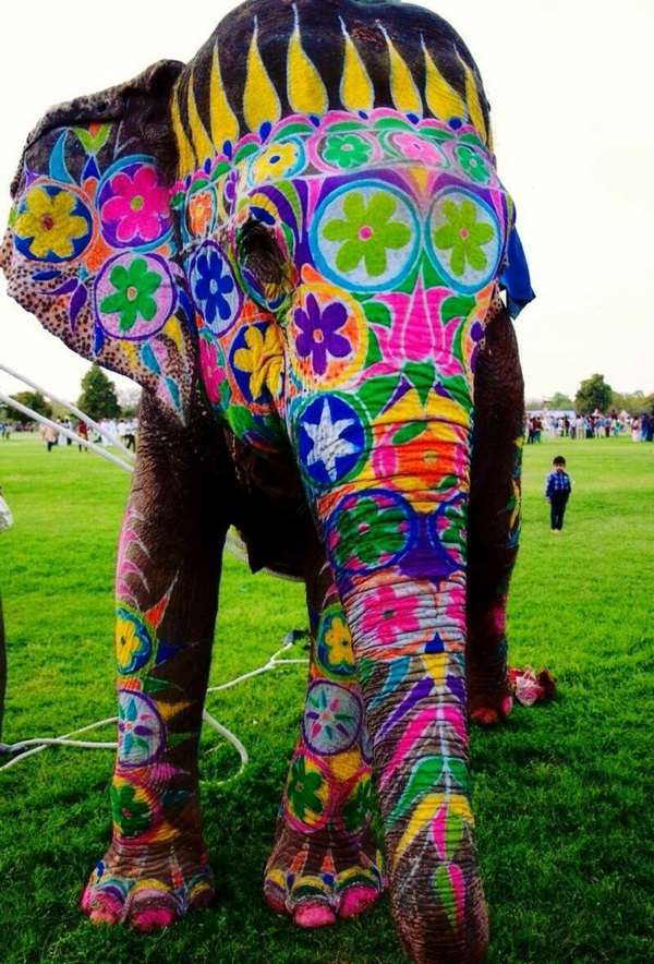 reise nach indien indienreise indische kultur elefant bemalt