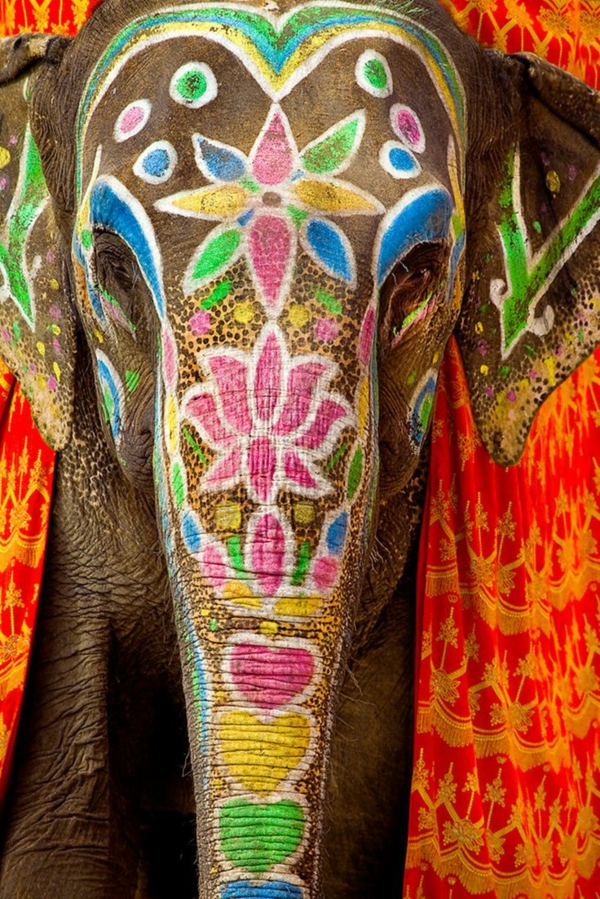 reise nach indien indische kultur bemalte elefanten