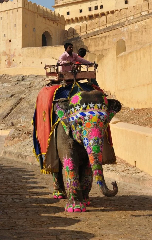 reisen nach indien indische kultur elefant