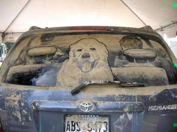 schmutzige autos kunst staub gemälde haustier