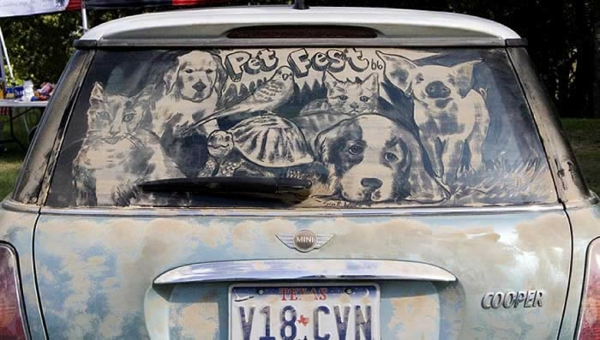 schmutzige autos kunst staub gemälde haustiere hund