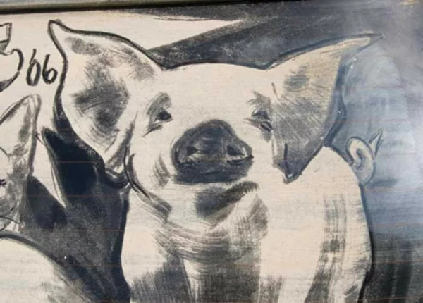 schmutzige autos kunst staub gemälde schwein