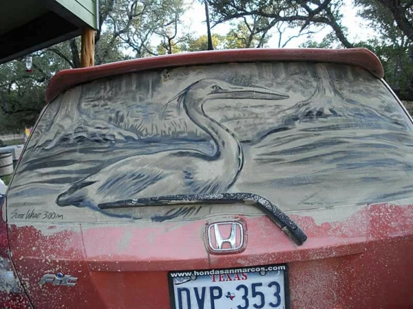 schmutzige autos kunst staub gemälde vogel