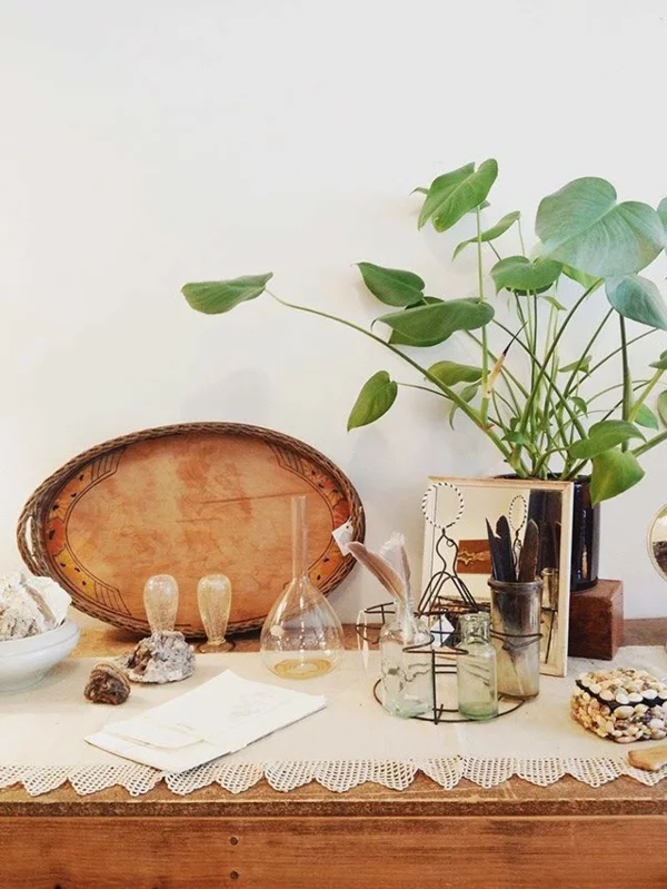 bildergalerie  schöne zimmerpflanzen vintage möbel echtholz