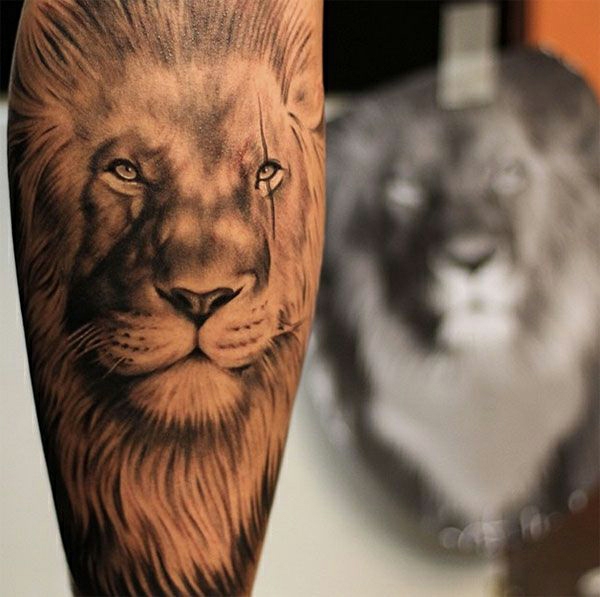 Löwe arm männer tattoo Tattoo Arm