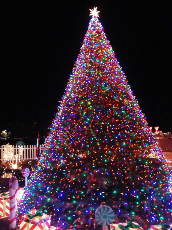 weihnachtsbaum beleuchtung bunte leuchten stern