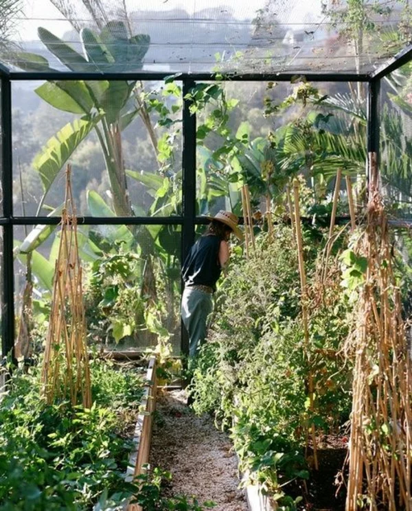 wintergarten bauen gemüse und bio produkte ganzjährig