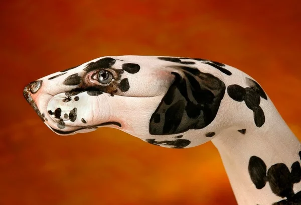 moderne kunst dalmatiner