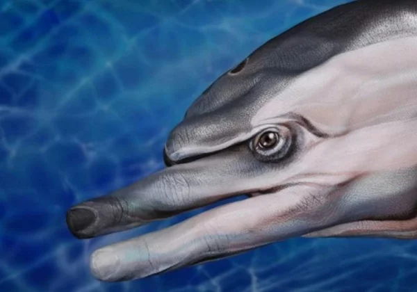 moderne kunst delfin