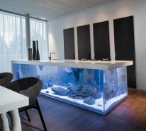 Brillante Aquarium Dekoration verleiht Ihrem Zuhause eine exotische Note