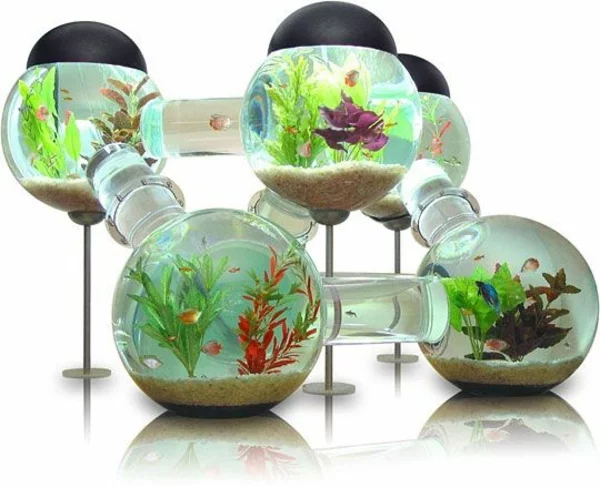 Brillante rund gefäß Aquarium Dekoration modular