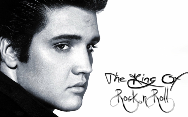 Elvis Presley lebenslauf der rockstar