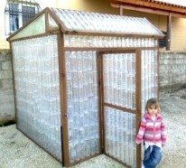 Kleines Gewächshaus selber bauen – Mini Treibhaus aus Plastikflaschen