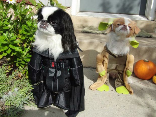 Star Wars für Hunde Darth Vader Yoda Ewok