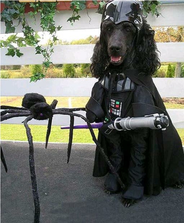 Star Wars Hunde Darth Vader schwarz