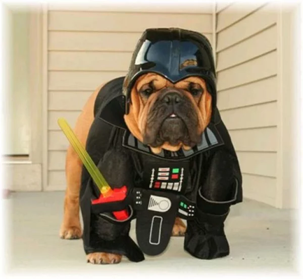 Kostüme Hunde Darth Vader tierwelt