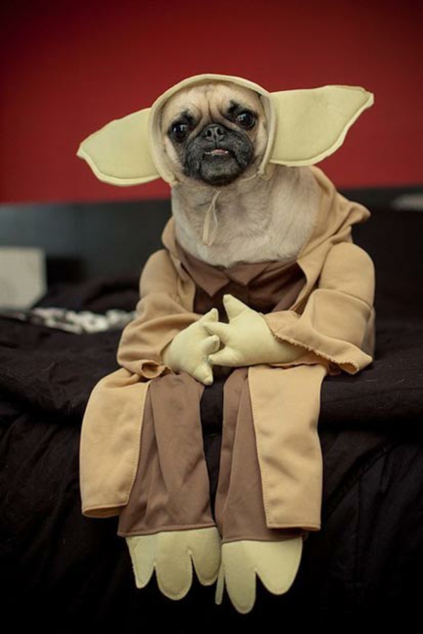 Kostüme für Hunde Yoda sitzen Star Wars 