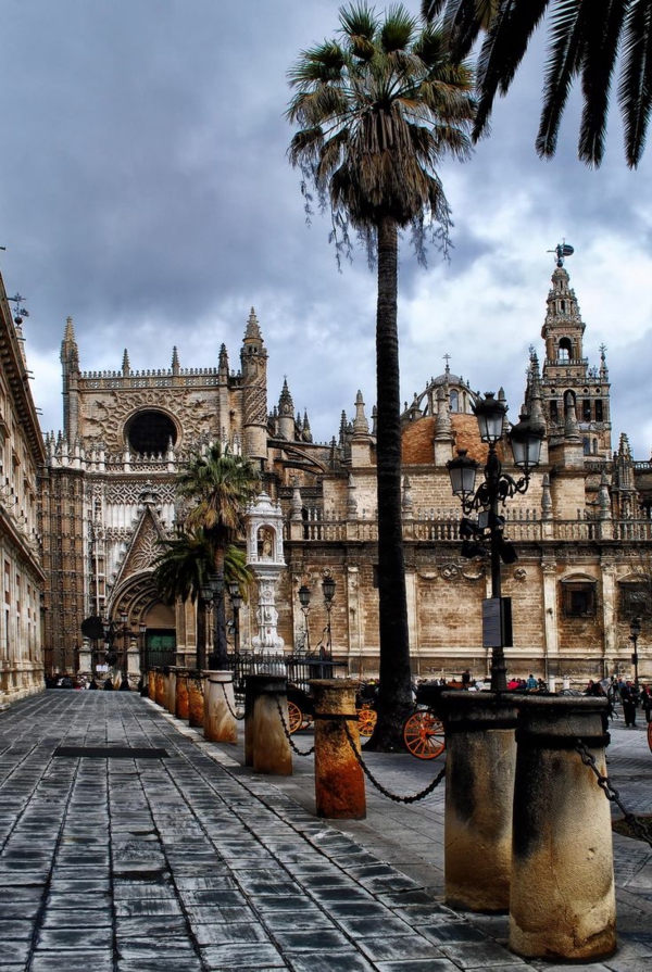 Urlaub Südspanien Sevilla straßen palmen kathedrale